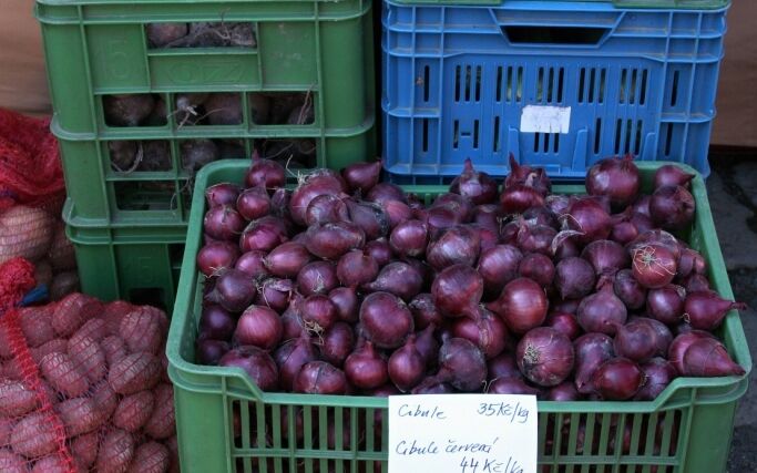 V Evropě bude nedostatek ovoce a zeleniny, varují dodavatelé