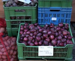 V Evropě bude nedostatek ovoce a zeleniny, varují dodavatelé