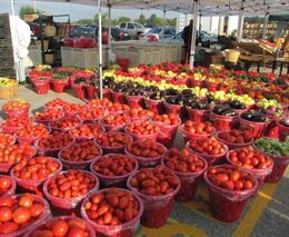 Větší podpora rodinných firem a malých nezávislých obchodů na venkově. Spuštěna bude příští rok