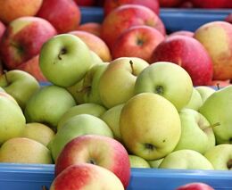 Ovoce, zelenina a mléko do škol by měly být primárně z lokálních farem