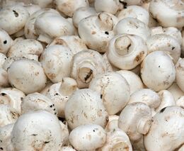 Ministerstvo zemědělství začalo v minulém týdnu sledovat prodejní ceny vybraných potravin