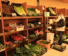 Lidé už chtějí zdravé a kvalitní potraviny od farmářů. Klidně si připlatí, všiml si drobný zemědělec