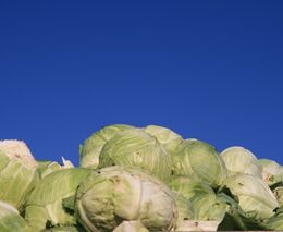 Taky jste už ochutnali? Automat na kysané zelí je nošovickou kuriozitou