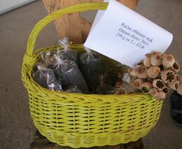 Doporučení NRL FCM SZÚ pro prodej nebalených potravin a gastro provozovny po dobu vyhlášené pandemie