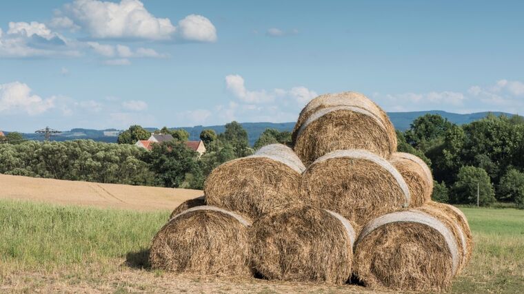 Komunitou podporovaného zemědělství zažívá v době koronavirové boom