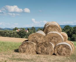 Komunitou podporovaného zemědělství zažívá v době koronavirové boom