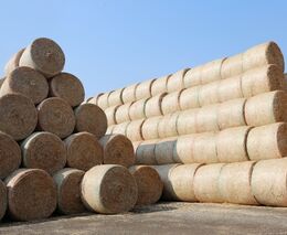 Dávky dusíku doporučované při hnojení slámy jsou moc vysoké. Snižte je a ušetříte peníze i klima