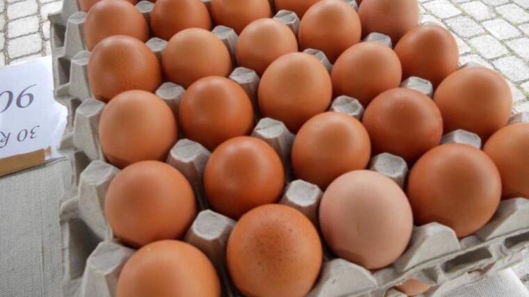 Levný dovoz vajec válcuje české producenty. Bohužel, nic nového…