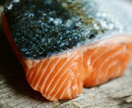 Moje ryby mají wellness, pochvaluje si podnikatel chovající české lososy