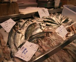 Produkce ryb loni meziročně klesla o 3 procenta, rybáři jich vylovili 20.401 tun