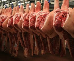 Sektor produkce vepřového masa má problémy, výkupní ceny jsou v ČR nejnižší od vstupu do EU