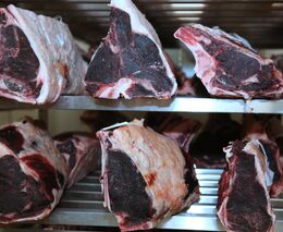 Může novela zákona o významné tržní síle něco zlepšit?