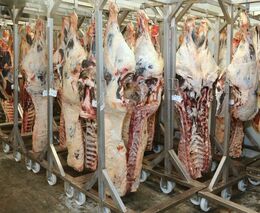 Týden podle PH č. 5 - 2019 (pH týdne: 4)