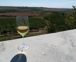 EK podpoří vinaře, kterým kvůli koronaviru klesla poptávka