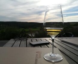 Vinařství finančně vyčerpává covid, zálusk na ně mají investoři