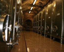 Do finále soutěže Vinař roku postoupilo osm vinařství