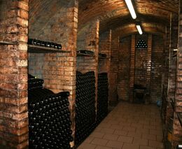 Jaké je nejlepší české víno? Pět let starý Rýnský ryzlink z pozdního sběru