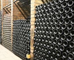 Francie letos očekává jednu z nejhorších úrod vína ve své historii