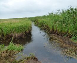 Hydrolog: Ani dnešní technika by nedovedla předpovědět přesný rozsah záplav