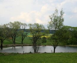 Adapterra Awards: startuje 5. ročník a s ním i nové ceny pro vítěze