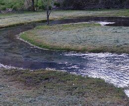 Kvalitu vody v řekách toximetry hlídat nebudou. Žádná instituce je nechce provozovat