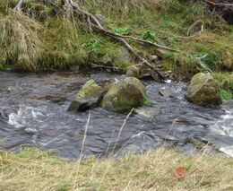 Petr Havel: V prevenci rizik povodní má Česko stále velké rezervy