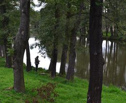 Karlovarský kraj má studii malých vodních nádrží, mohou zadržet vodu v krajině