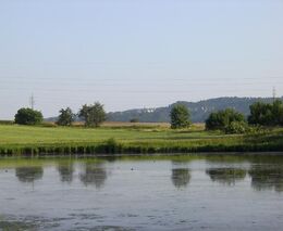 Krajina jako nepřítel. Ministerstvo zemědělství čelí kritice za technický pohled na přírodu