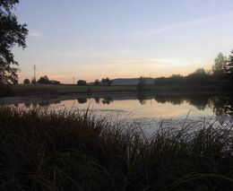 Vyjednavači Evropského parlamentu a států se shodli na návrhu na obnovu přírody