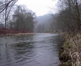 Týden podle PH č. 14 - 2017 (pH týdne: 10)