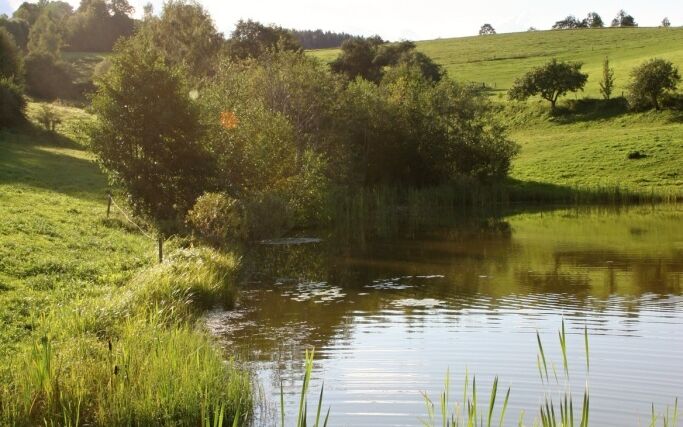 ASZ navázala partnerství s informačním portálem Naše voda 