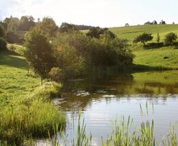 ASZ navázala partnerství s informačním portálem Naše voda 