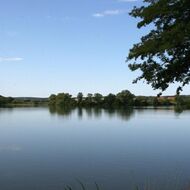 Pravidla pro žadatele a příjemce z jarních výzev OP Rybářství zredukovalo MZe o 30 %