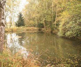 Kubala: ČR je na hranici uspokojení požadavků společnosti na potřebu vody