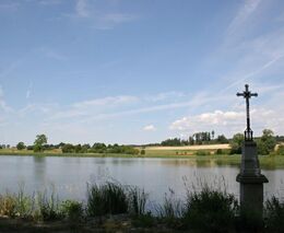 Vedra ohrožují ryby, chovatelé snižují krmné dávky a provzdušňují rybníky