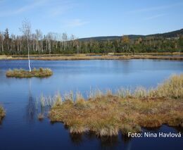 Vědci budou sdílet informace, jak efektivně hospodařit s vodou