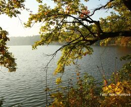 Řekněte si o peníze na přípravu projektů proti suchu už teď, vyzývá obce MŽP
