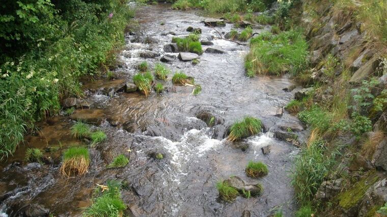 Sucho už v dubnu. Vodu v krajině neumíme zadržet