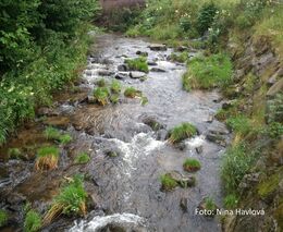 Sucho už v dubnu. Vodu v krajině neumíme zadržet