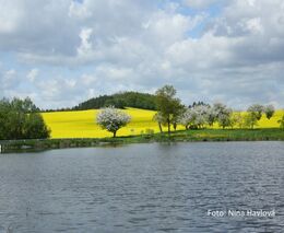 Týden podle PH č. 17 - 2017 (pH týdne: 10)