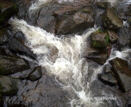 K čemu je lesníkům dobrý hydrologický výzkum malých lesních povodí? 