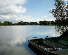 Hospodaření na rybnících může být ziskové a zároveň šetrné k přírodě