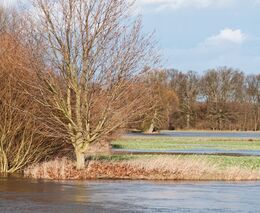 Exkurze: Ekologická obnova - co umíme a co ještě ne