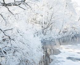 Vědci MU opět odjeli do Antarktidy, zaměří se na změny trvale zmrzlé půdy