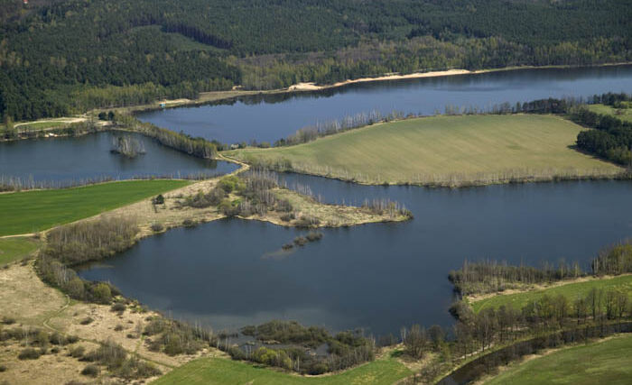 Týden v zemědělství podle Petra Havla - č. 12