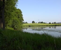 Změny v Nitrátové směrnici