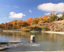 Středočeský kraj rozdělí příští rok v dotacích na životní prostředí 148 mil. Kč