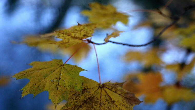 Sdružení: Průměrné vodné a stočné letos zdraží o 3,6 procenta