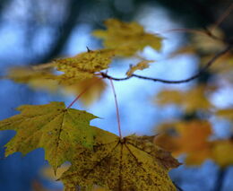 Sdružení: Průměrné vodné a stočné letos zdraží o 3,6 procenta
