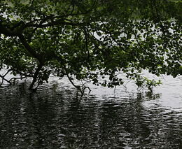 Povodí Labe dokončilo první etapu čištění historického vodního kanálu Alba